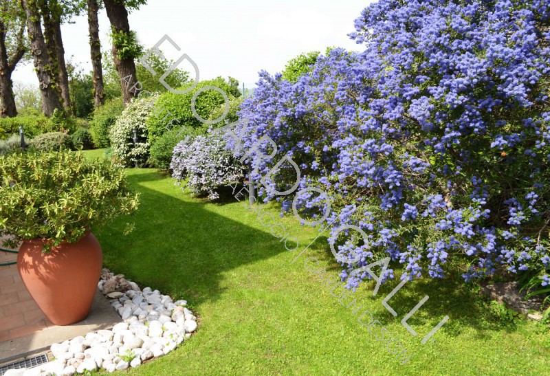 Giardino privato a Rocca di Papa (RM)