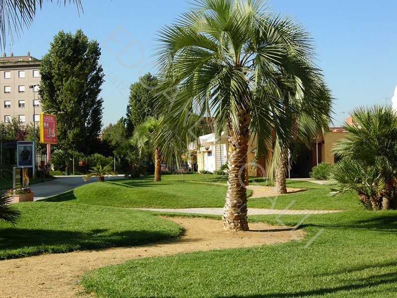 Dettaglio area centrale