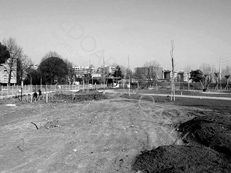 Dettaglio area centrale