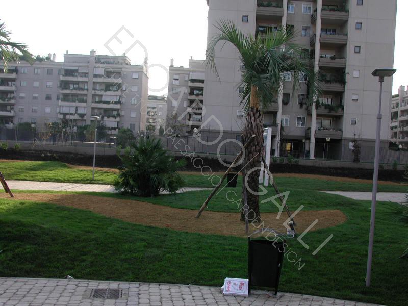 Dettaglio area centrale