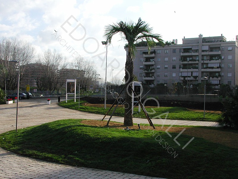 Dettaglio area centrale