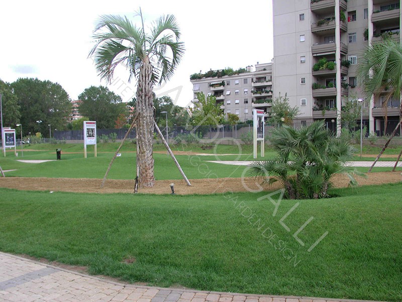 Dettaglio area centrale