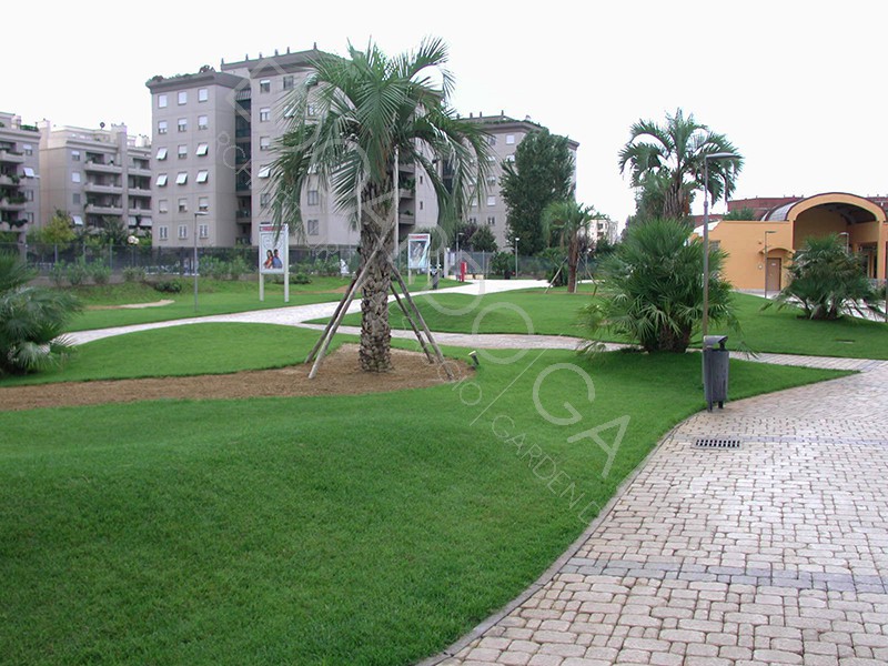 Dettaglio area centrale