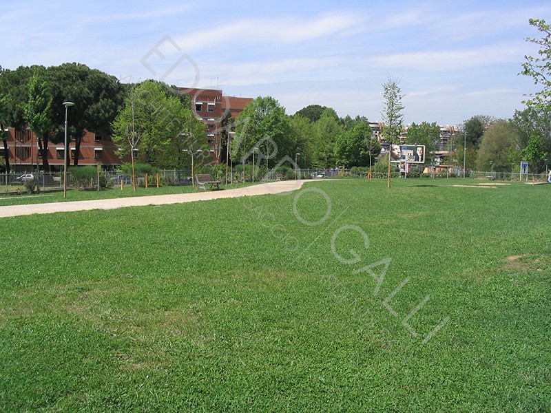 Dettaglio area centrale