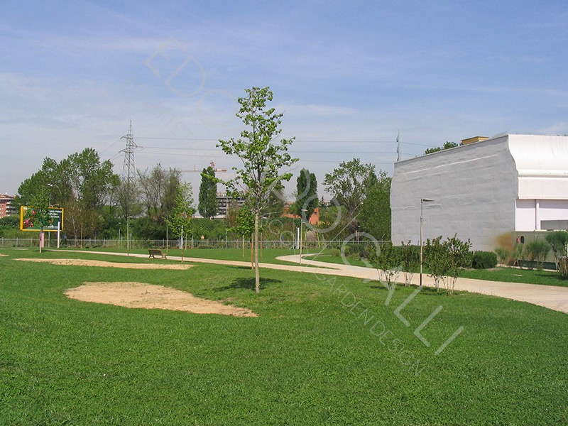 Dettaglio area centrale