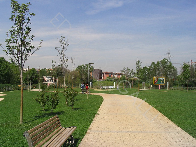 Dettaglio area centrale