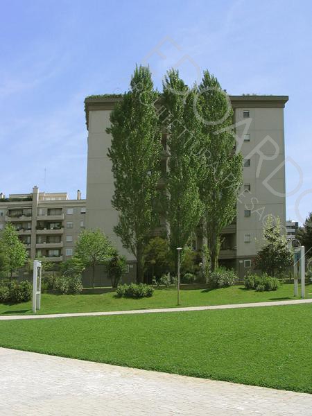Dettaglio area centrale