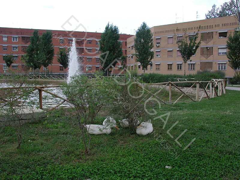 Dettaglio area centrale