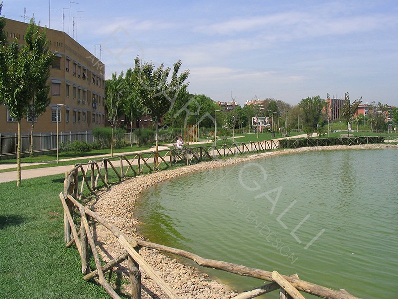 Dettaglio area centrale