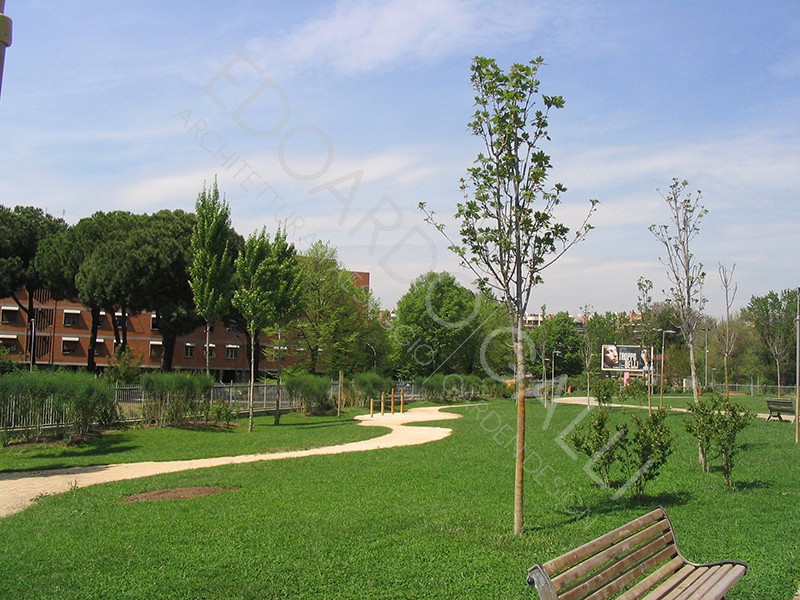 Dettaglio area centrale