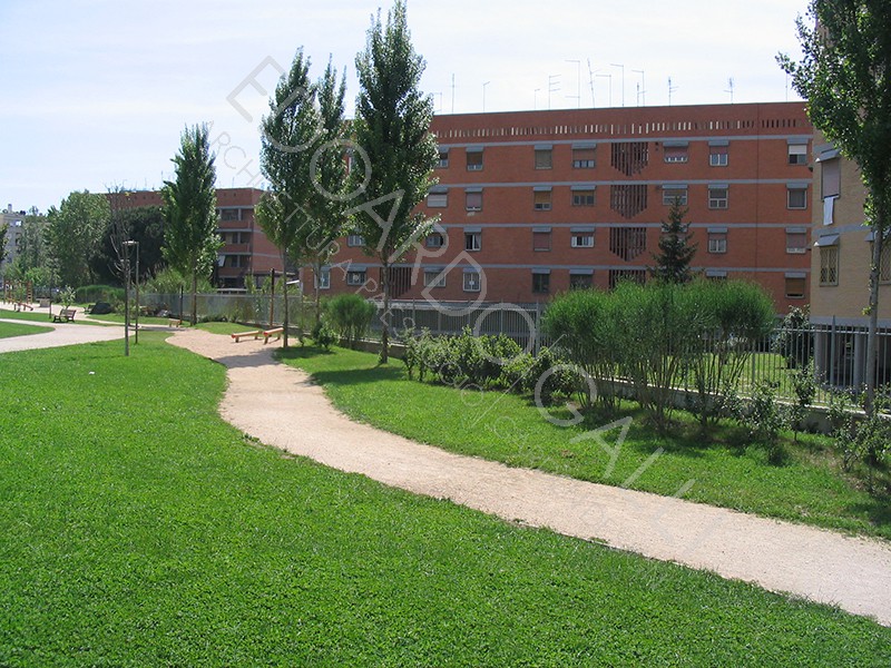 Dettaglio area centrale