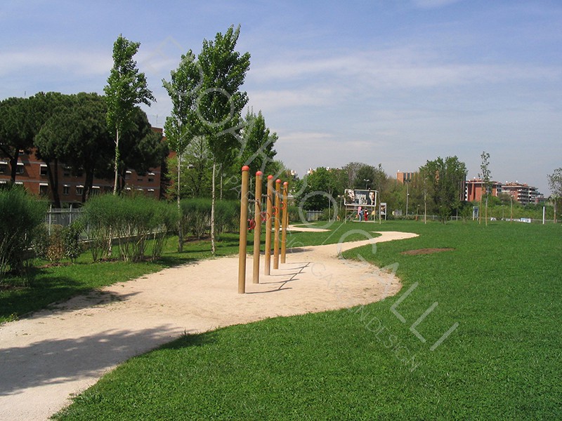 Dettaglio area centrale