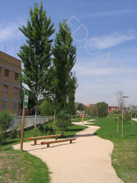 Dettaglio area centrale